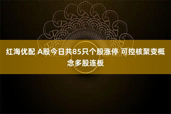 红海优配 A股今日共85只个股涨停 可控核聚变概念多股连板