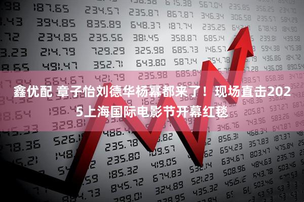 鑫优配 章子怡刘德华杨幂都来了！现场直击2025上海国际电影节开幕红毯