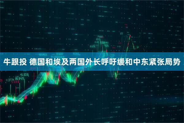 牛跟投 德国和埃及两国外长呼吁缓和中东紧张局势