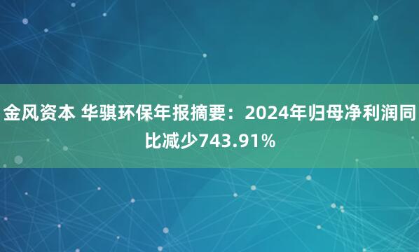 金风资本 华骐环保年报摘要：2024年归母净利润同比减少743.91%