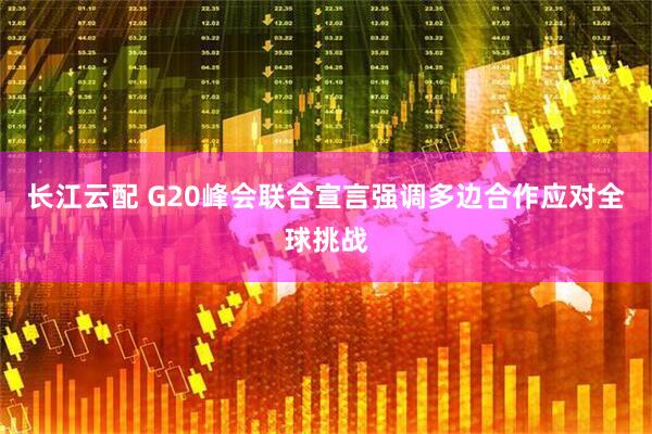 长江云配 G20峰会联合宣言强调多边合作应对全球挑战