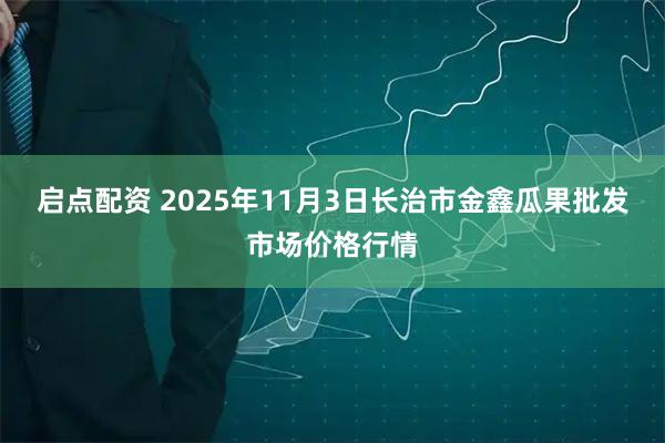 启点配资 2025年11月3日长治市金鑫瓜果批发市场价格行情