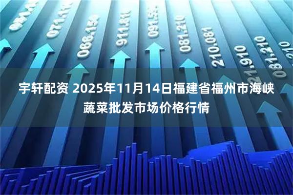 宇轩配资 2025年11月14日福建省福州市海峡蔬菜批发市场价格行情