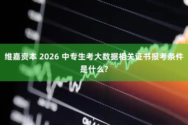 维嘉资本 2026 中专生考大数据相关证书报考条件是什么?
