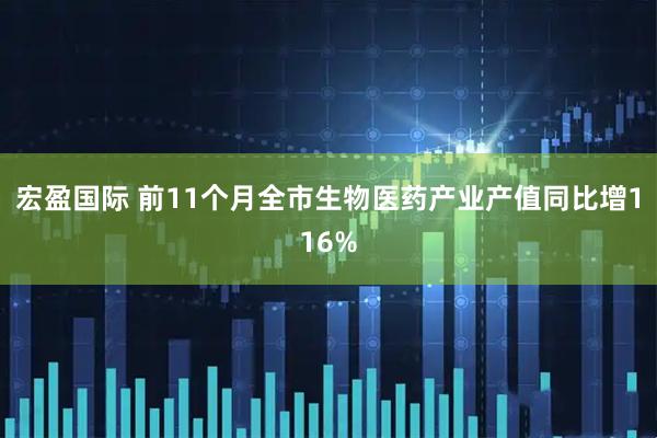 宏盈国际 前11个月全市生物医药产业产值同比增116%