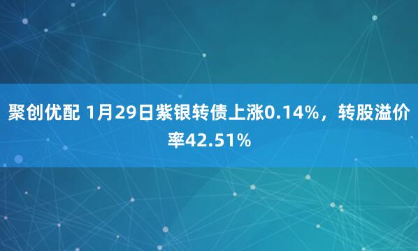 聚创优配 1月29日紫银转债上涨0.14%，转股溢价率42.51%
